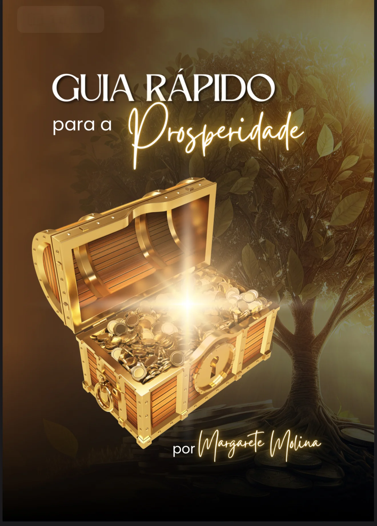 Guia Rápido Para a Prosperidade